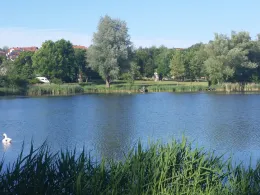 Tälesee (Empfingen)-4