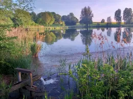 Tälesee (Empfingen)-3