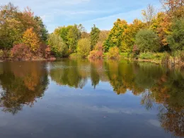 Leine-Altarm Wettensen-4