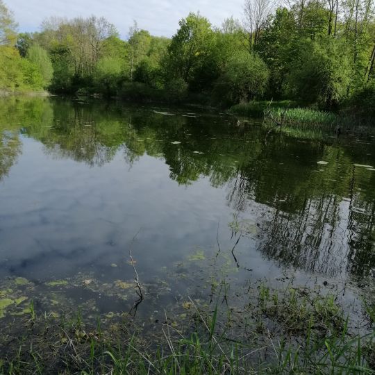Leine-Altarm Wettensen-2