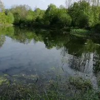 Leine-Altarm Wettensen-2