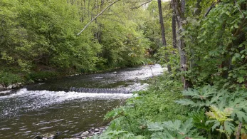 Agger (Osberghausen)-1