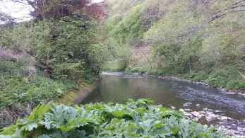 Agger (Osberghausen)