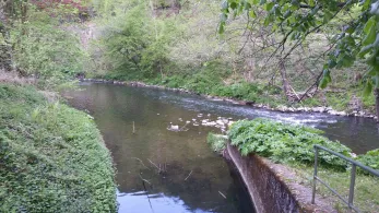 Agger (Osberghausen)-2