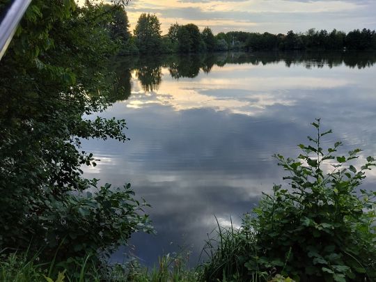Weiher am Säckergraben (Hengersberg)-4