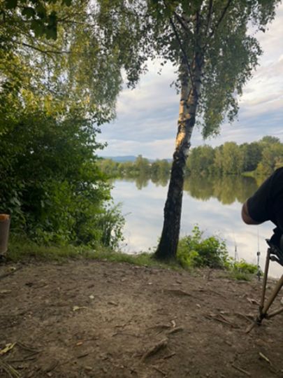 Weiher am Säckergraben (Hengersberg)-2