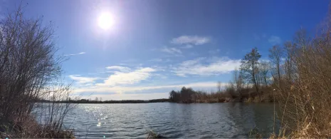 Weiher am Säckergraben (Hengersberg)-3