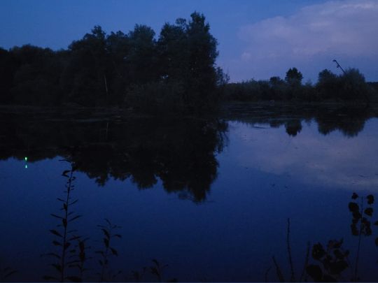 Schwanensee (Merching)-2