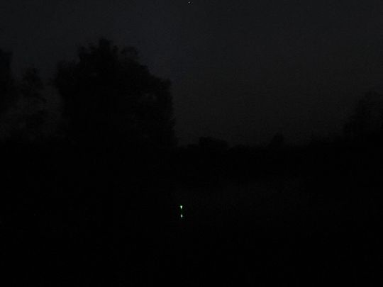 Schwanensee (Merching) angeln