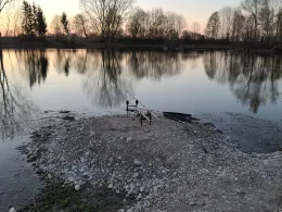 Schwanensee (Merching)