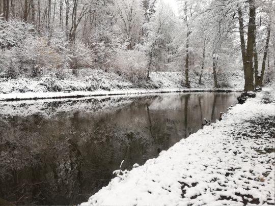Teich ASV Wehrden-3