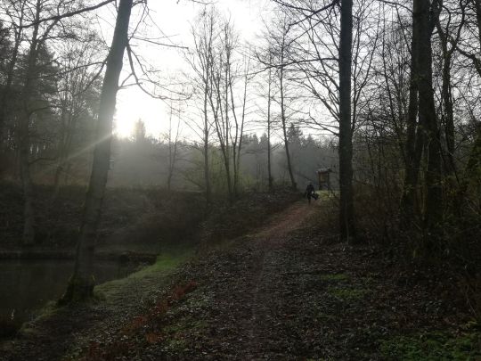 Teich ASV Wehrden