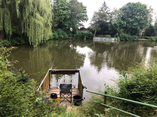 Teichanlage Oberrosbach-1