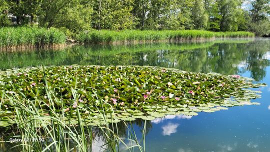 Mossandlsee (KFV Dingolfing)-1