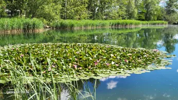 Mossandlsee (KFV Dingolfing)-1