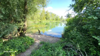 Mossandlsee (KFV Dingolfing)-4