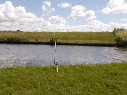 Soholmer-Au (Bargum)