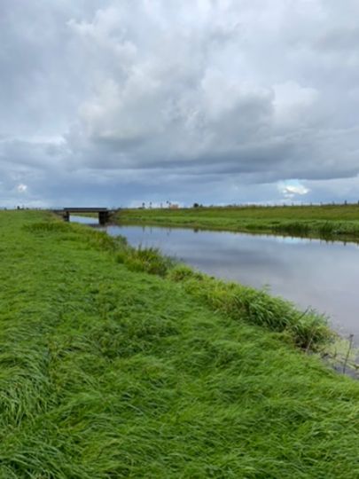 Soholmer-Au (Bargum)-1