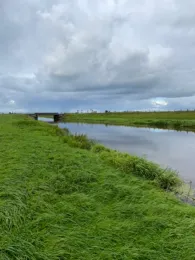 Soholmer-Au (Bargum)-1