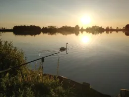 Feerstenborgumer Kolk