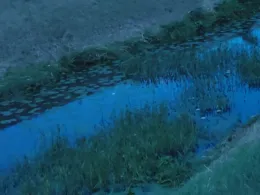 Große Aue (Preußisch Ströhen)-2