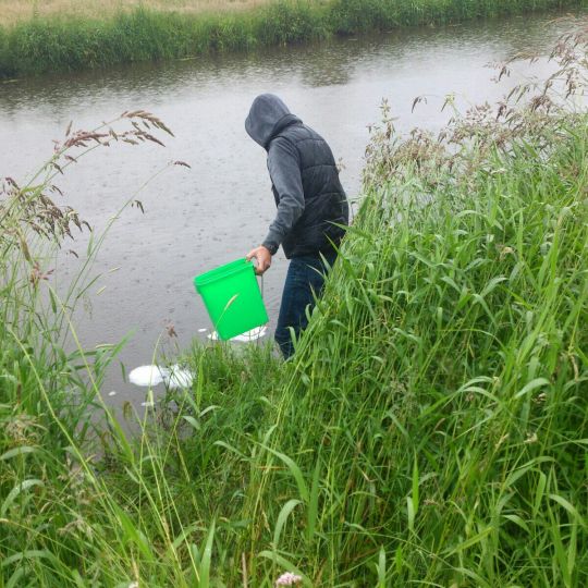 Große Aue (Preußisch Ströhen)-1