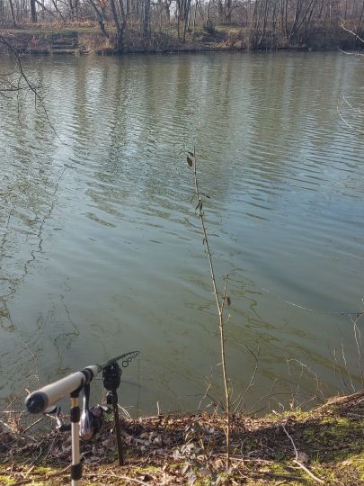 Pappelteiche (Zwenkau)-1