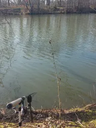 Pappelteiche (Zwenkau)-1