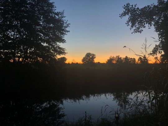 Schwalm (Loshausen)-3