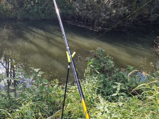 Schwalm (Loshausen)-2