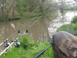 Schwalm (Loshausen)-1