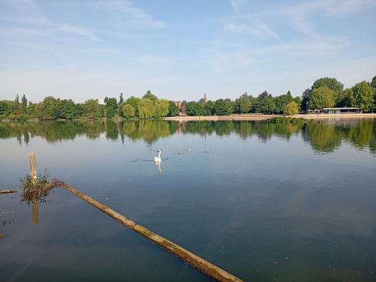 Unterer Wöhrder See (Nürnberg)-4