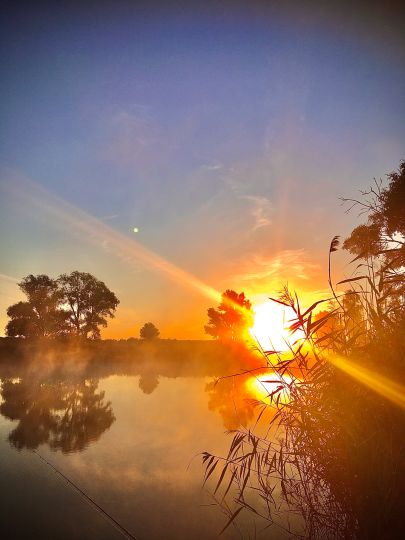 Zuckerteich (Osternienburg)-1