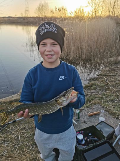 Darkrug (Meitzendorf)-1