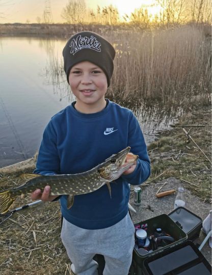 Darkrug (Meitzendorf)