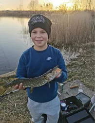 Darkrug (Meitzendorf)