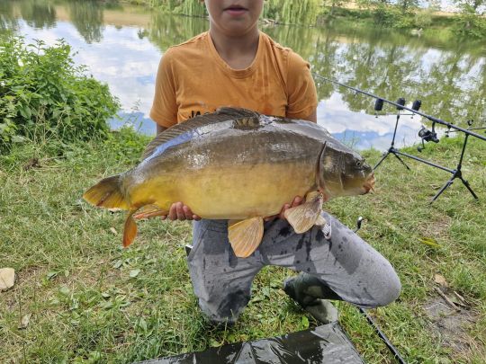 Darkrug (Meitzendorf)-2