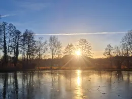 Forstwaldteich (Mauer)-3