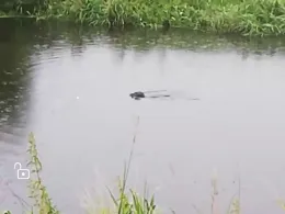 Hadelner Kanal (Bad Bederkesa)-1