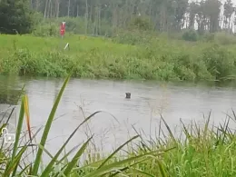 Hadelner Kanal (Bad Bederkesa)-2