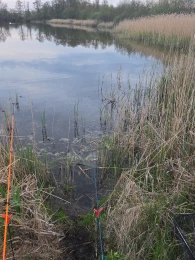 Rethwischer Torfmoor-4