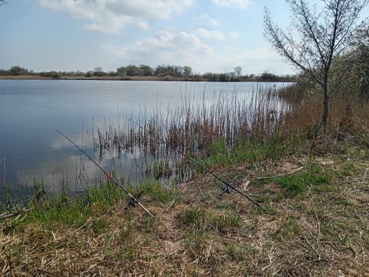 Rethwischer Torfmoor-2