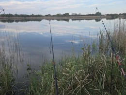 Rethwischer Torfmoor-4