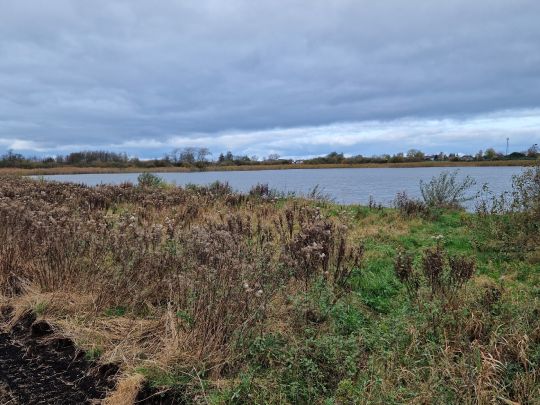 Rethwischer Torfmoor