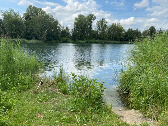 Mitterfeldsee (Oberstimm)-1