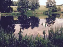 Schulteich (Erlbach)