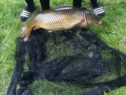 Eckholter See (Legden)