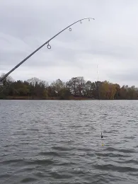 Hölzchenteich (Stausee Süptitz)-2