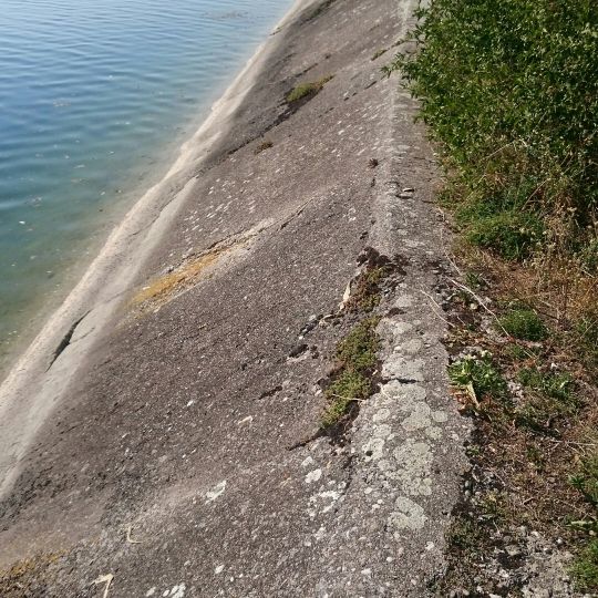 Speichersee (Ismaning)-4