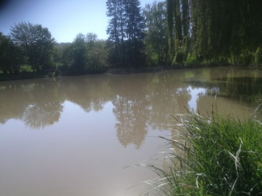 Eisweiher (Groß-Bieberau)-3